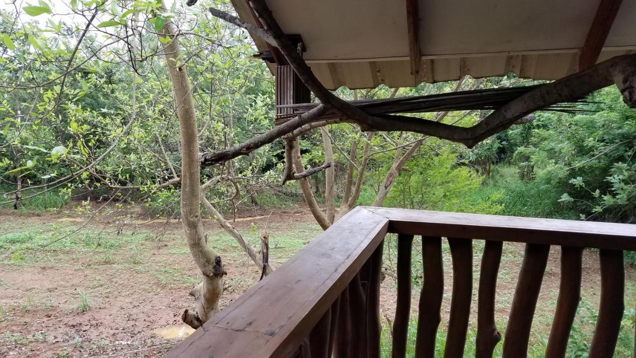 Sigiri Holiday Villa Сигирия Екстериор снимка