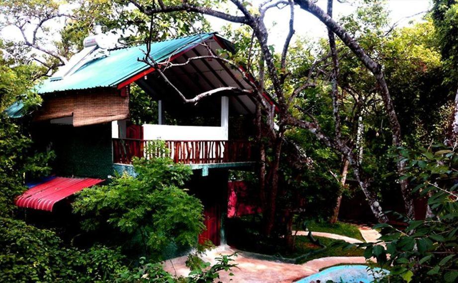 Sigiri Holiday Villa Сигирия Екстериор снимка